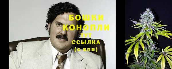 бошки Аркадак