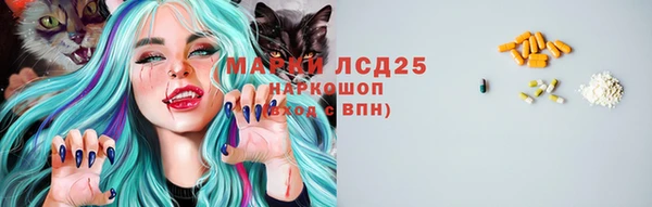 бошки Аркадак