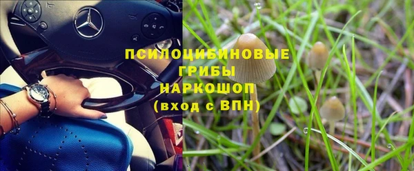 спайс Арсеньев